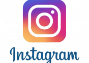 How Can A Business's Instagram Page Gain More Followers